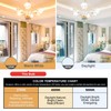 Vanity Light Bulbs 60 Watt Equivalent - G25 Globe LED