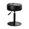 LUE BONA Adjustable Vanity Stool, 360 Swivel Chair for Makeup
