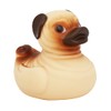 PUG RUBBER DUCK Novelty Gift Collectable