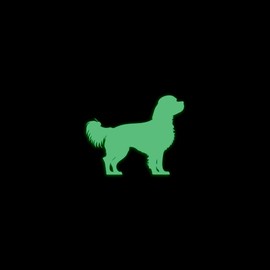 Cavalier King Charles Spaniel Dog Silhouette Glow in The Dark Sticker Decal for Phone Tablet Laptop Car Truck Window | 4" Sticker | Green