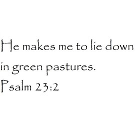 Tapestry Of Truth - Psalm 23:2 - TOT5379 - Wall and Home Scripture, Lettering, Quotes, Images, Stickers, Decals, Art, and More! - He Makes me to Lie Down in Green Pastures. Psalm 23:2