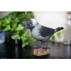 WILDLIFEGARDEN Wildlife Garden WG464 DecoBird Jackdaw - Hand Carved Decorative