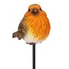 Vivid Arts Wood Life GF Robin Plant Pal - WL-RBPP