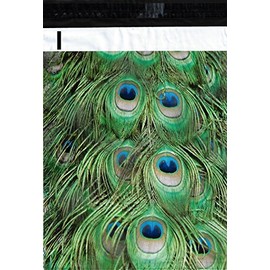 10x13 (100) Peacock Feathers Designer Poly Mailers Shipping Envelopes Boutique Custom Bags by ValueMailers (10" X 13") â¦