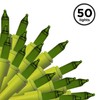 Brite Star 50-Count Greenapple Mini String Lights – 19.15 FT,