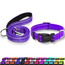Maiiu - Collar reflectante para perro con hebilla de bloqueo de seguridad, collares de nailon ajustables suaves y transpirables para perros pequeños, medianos y grandes (collar + correa S ancho 5/8 pulgadas, morado)