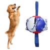 Interactive Outdoor Fly Ball Flying Saucer Ball Interesting Dog Soccer