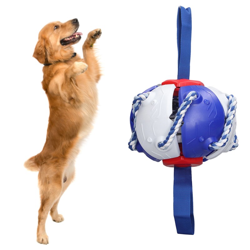 Interactive Outdoor Fly Ball Flying Saucer Ball Interesting Dog Soccer