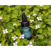 Yuanjae All-in-One Mist Houttuynia cordata Tea Tree SOS, 135g, 1