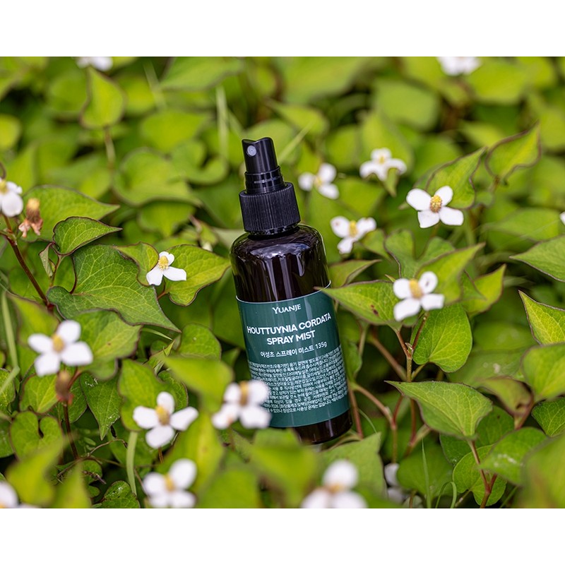 Yuanjae All-in-One Mist Houttuynia cordata Tea Tree SOS, 135g, 1