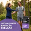 CNR HIT | Glutatión, Trans-Resveratrol, Curcumina y NAD | 60