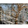 WGV Hanging Terrarium Globe, Width 8", Height 9", DIY Air