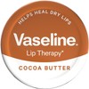 Vaseline Intensive Care Cocoa Radiant Body Lotion, Healthy Hands &