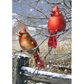 Toland Home Garden 1010431 Blizzard Buddies Winter Flag 28x40 Inch Double Sided Winter Garden Flag for Outdoor House Flag Yard Decoration