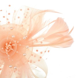 DRESHOW Headbands Mesh Feathers and Fork Clip Cocktail Party Tee Hats for Women - salmon