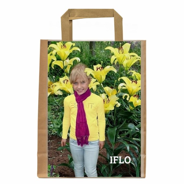 Lily Bulbs Mix, Tree Lilies in Various Varieties and Colours,