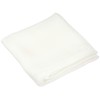 Endoshoji Professional Dish Cloth, Tetoron, Made in Japan