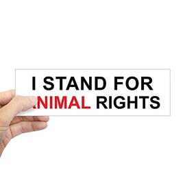 CafePress Animal Rights 10"x3" Rectangle Vinyl Bumper Sticker Car Decal