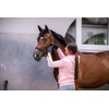 Roeckl Sports equestrian gloves WINDHAM, winter riding glove, Graphit Mélange