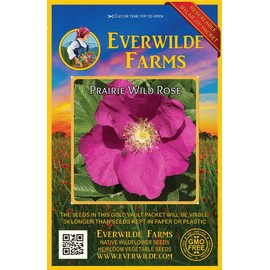 Everwilde Farms - 60 Prairie Wild Rose Native Wildflower Seeds - Gold Vault Jumbo Seed Packet