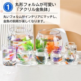 ateena Fishbowl, Goldfish, Aquarium, Aquarium, Container, Rearing Acrylic, Plastic, Aquarium, Large Aquarium, Transparent C (S) (L)