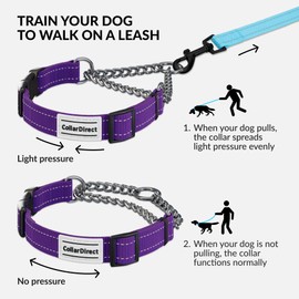 CollarDirect Martingale Dog Collar Dog Choke Collars Stainless Steel Chain Quick Release Buckle - Reflective Collar for Large, Medium, Small Dogs - Purple, Medium (Neck Size 14"-17")