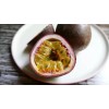 Passion Fruit Passiflora Edulis Passion Fruit Plant 8” With Pot
