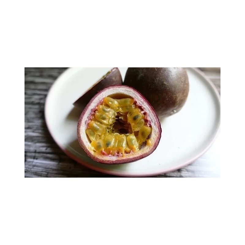 Passion Fruit Passiflora Edulis Passion Fruit Plant 8” With Pot