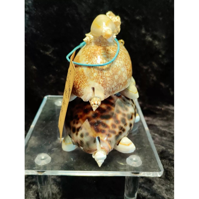 Bobble Head Cowrie Shell Riding Turtles