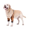 Blue Dream Island Dog Leg Brace, Recovery Sleeve, Pet Knee