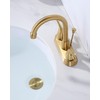 Bathroom Sink Drain with Lift Rod，WOWOW Gold Bathroom Drain Assembly