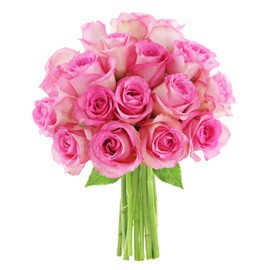 KaBloom PRIME NEXT DAY DELIVERY - Fall Collection - Bouquet of 18 Fresh Pink Roses Fresh.Gift for Birthday, Sympathy, Anniversary, Get Well, Thank You, Valentine, Mother’s Day Fresh Flowers