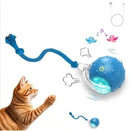 Interactive Cat Toy Ball with Realistic Bird Sounds, Touch-Activated for Indoor Cats