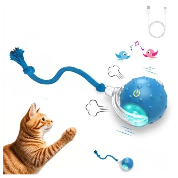 Interactive Cat Toy Ball with Realistic Bird Sounds, Touch-Activated for