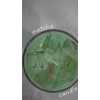 Velas Aromática Artesanal - Matcha Latte