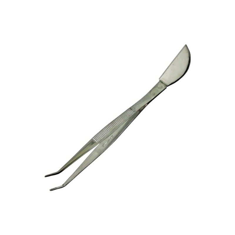 Probient Stainless Tweezers (Song)