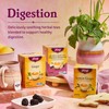 Yogi Tea - Ginger Tea (6 Pack) - Supports Healthy