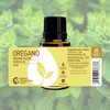 Rocky Mountain Oils Oregano Essential Oil 15 ml - Essential