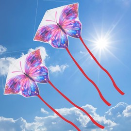 HOMMDECO カラフルな紫色の蝶のガーデンヘアドライヤー 2個セット アウトドア用風車 耐久性のあるアウトドアハンギングフラッグ パティオガーデンセイルホームデコレーション（フック、ドアバックル、凧糸付き）