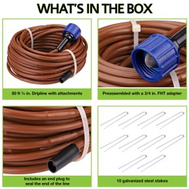 Raindrip R567DT Drip Irrigation Watering Kit for Vegetable Gardens Includes 50 feet of 1/4-Inch Dripline, 3/4-Inch FHT Adapter, 10 Hold-Down Stakes, 1 End Plug