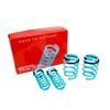 Godspeed LS-TS-NN-0014 Traction-S Performance Lowering Springs, Improve Overall Handling And