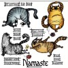 Stampers Anonymous Nameste Cats Clear Cling Stamps