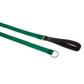 LupinePet Basics 3/4" Green 6-foot Slip Lead/Leash for Medium and Larger Dogs