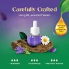 Air Wick Scented Oil Refills Lavender Chamomile 5ct – Plug-In