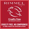 RimmelUK Rimmel London Lasting Finish Compact Foundation, 009 Honey, 7g