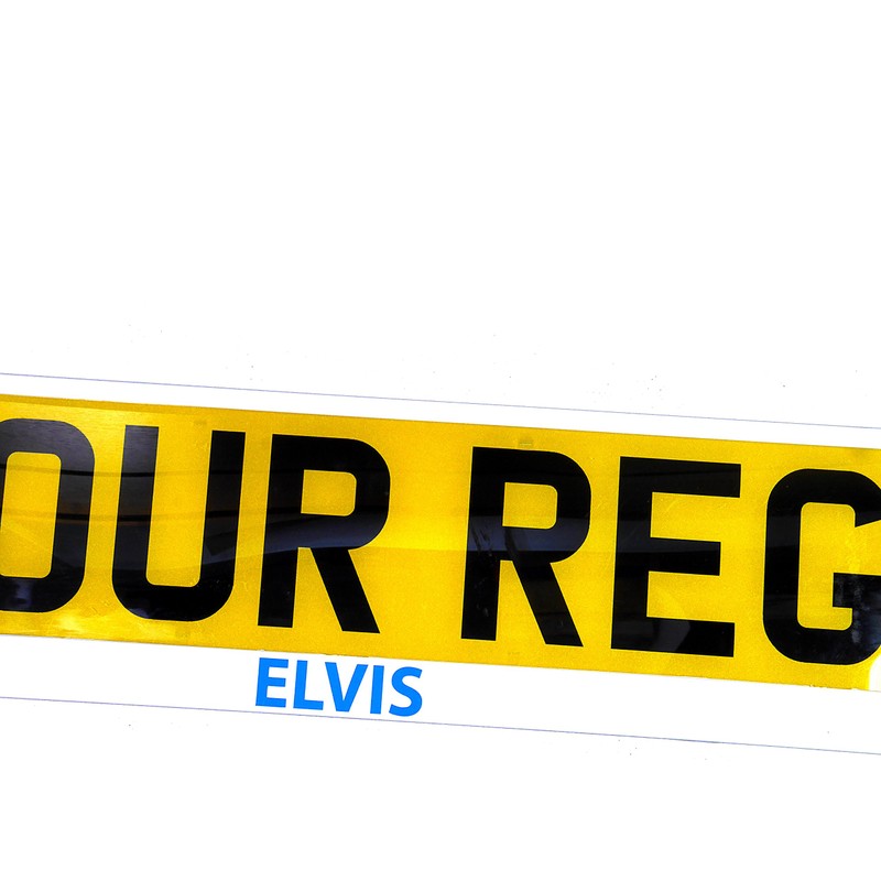 TAPORT® BLUE ELVIS TXT WHITE CAR REGISTRATION HOLDER FOR ANY
