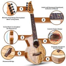 Hricane Concert Ukulele Spalted Maple 23 Inch Ukelele for Beginners, Cutaway Ukulele Professional Wood Uke with Glossy Satin Body Ukulele Stater Kit