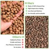 Riare 2LBS Expanded Clay Balls Terrarium Substrate for Reptiles -