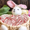 Soft Peppermint Candy Mints, 5 Pound mints bulk individually wrapped,