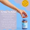 Good Day Chocolate Natural Calming Supplement for Adults, Blend of